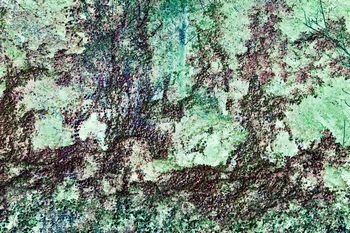 N 157C